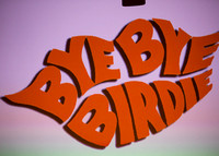 Bye Bye Birdie